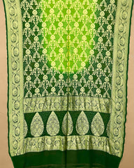 Green Shaded Georgette Bandhani Dupatta