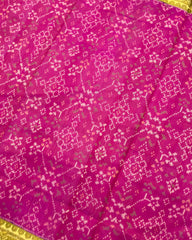 Blue & Pink Navratan Patola Saree