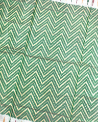 White & Light Green Zig Zag Lining Patola Saree