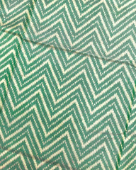 White & Light Green Zig Zag Lining Patola Saree