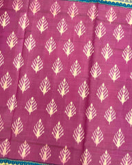 Sky Blue & Pink Fancy Leaves Patola Saree