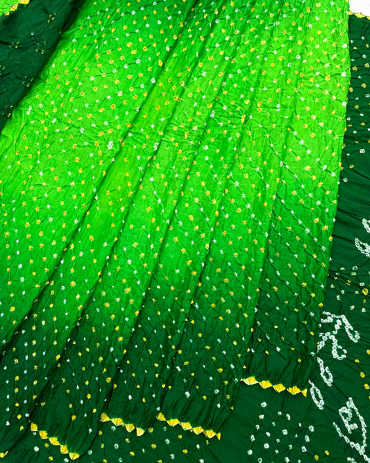 Green Shaded Gajji Silk Bandhani Saree