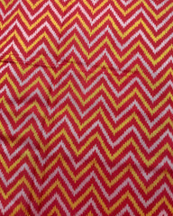 Red Zig Zag Lining Patola Saree