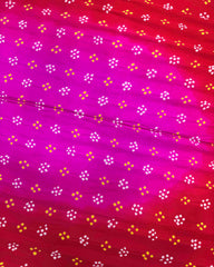 Red & Pink Shaded Gaji Silk Bandhani Saree