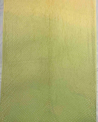 Light Green & Light Pink Shaded Munga Silk Bandhani Saree