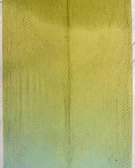 Sky Blue & Lemon Green Shaded Munga Silk Bandhani Saree