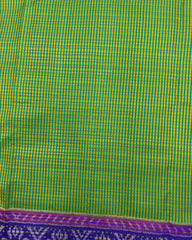 Blue & Green Small Chex Patola Saree